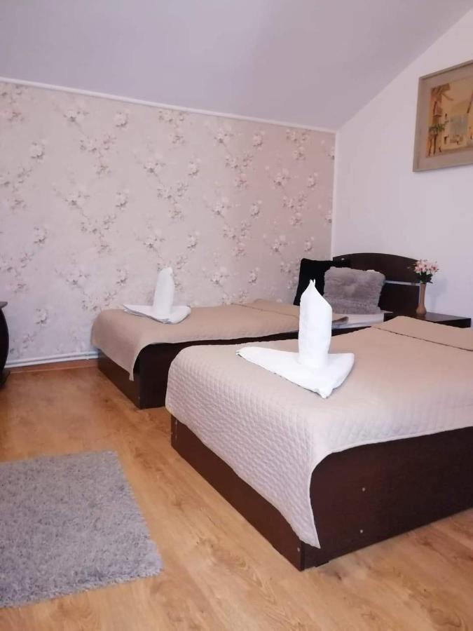 Casa Regala Ear Hotel Craiova Bagian luar foto