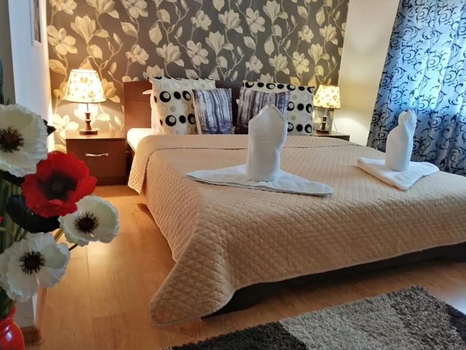 Casa Regala Ear Hotel Craiova Bagian luar foto