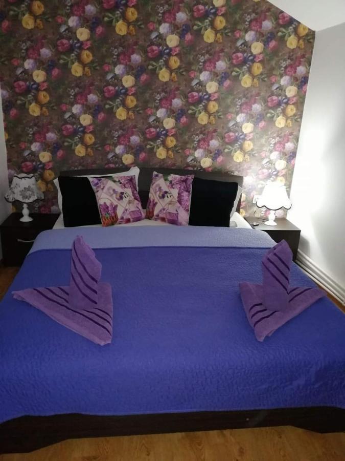 Casa Regala Ear Hotel Craiova Bagian luar foto